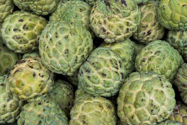 Custard apple