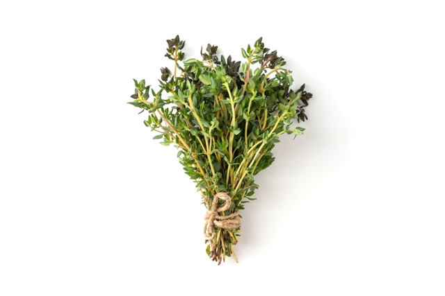 Thyme