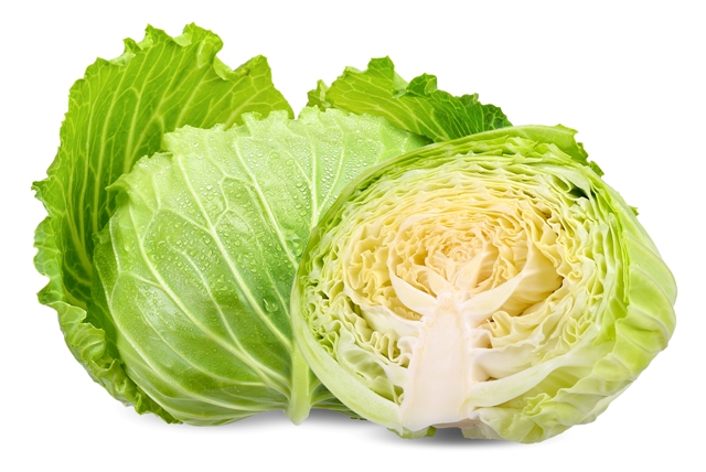 cabbage