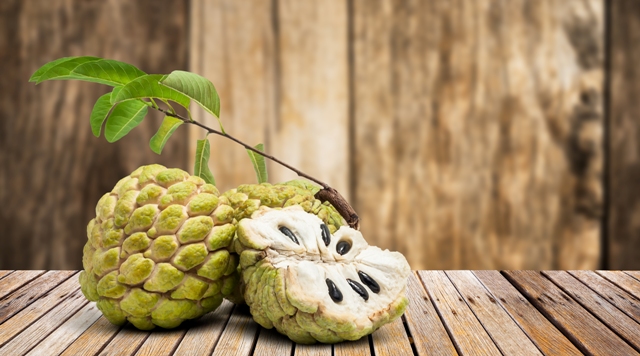 Custard apple