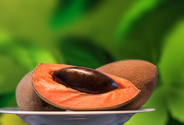 Mamey fruit