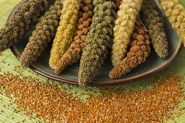 Finger millet