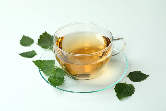 Nettle tea