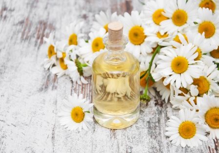 Chamomile oil