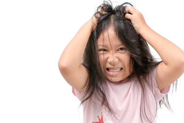 Head lice infestation